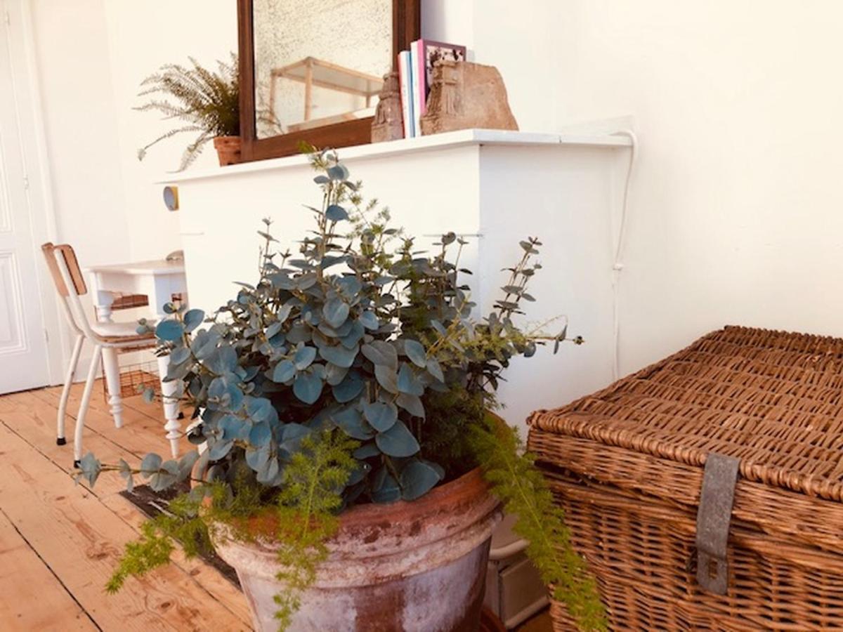 Bed and Breakfast Logies Lapin Antwerpia Zewnętrze zdjęcie